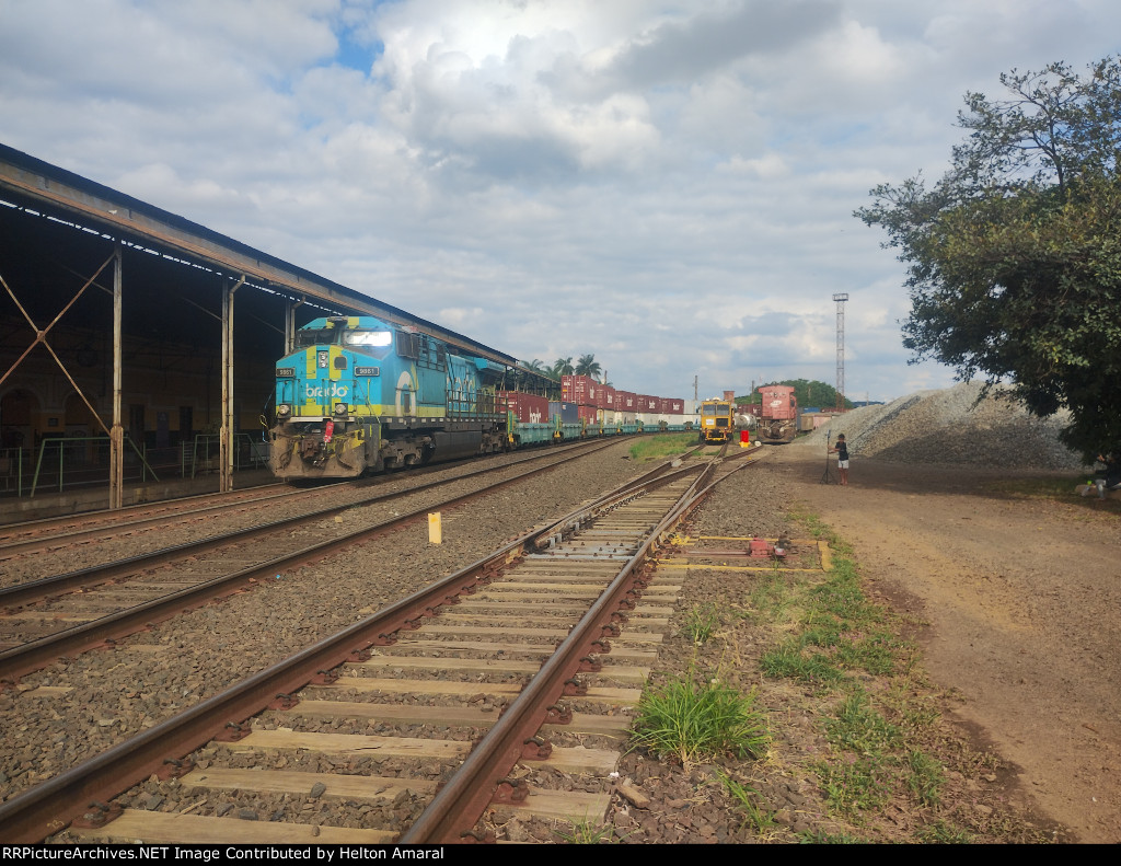 BRAD 9861